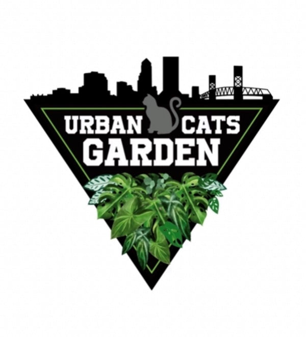 Urban Cats Garden